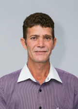 GATO DA SUCATA