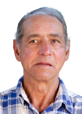 WALTER TEIXEIRA