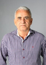DILSON PICA PAU