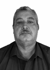 PAVÃO
