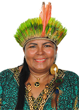 ARLETE ÍNDIA