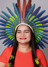 NICE TUPINAMBÁ