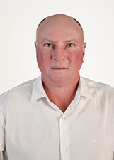 IVO ARI WACHHOLZ