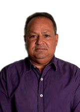 DEMÍ MINEIRO