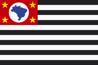 SP flag